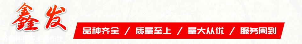 鑫发谷物种植