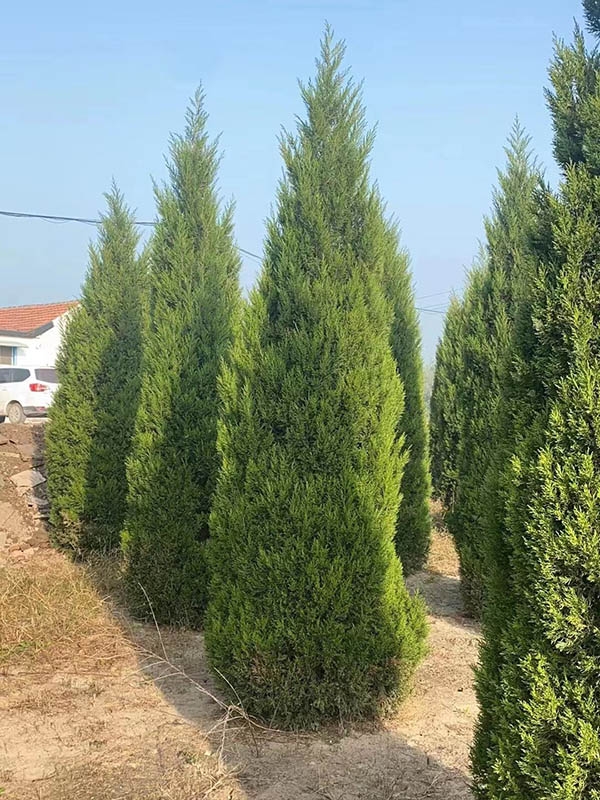 蜀块