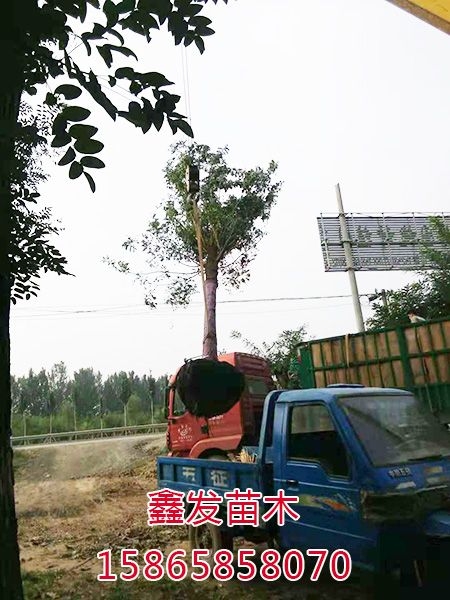装车现场