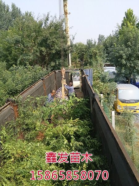 装车现场