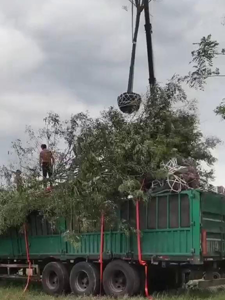 装车现场（视频）