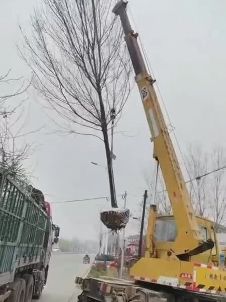 装车现场（视频）