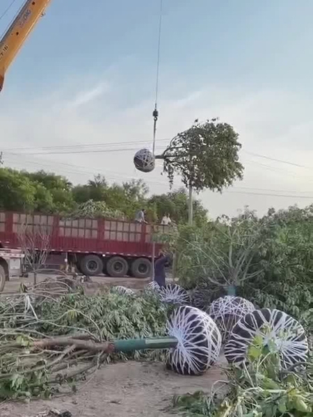装车现场（视频）