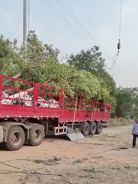 装车现场（视频）