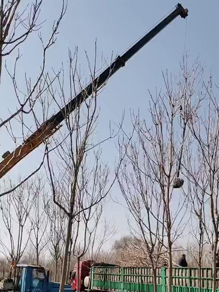 装车现场（视频）